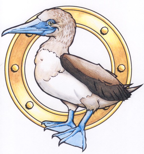 Blue-footed Booby Web Art