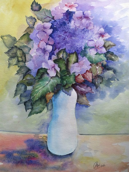 Hydrangea