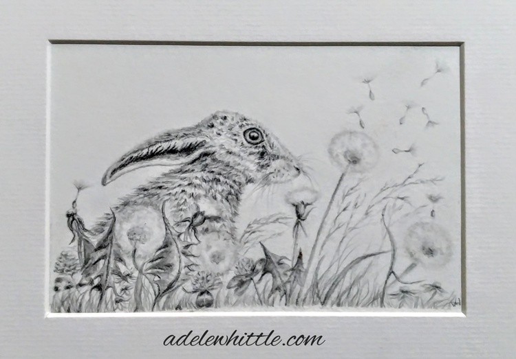 Wishful Hare 