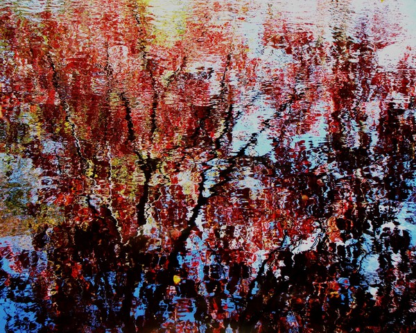 Natural Reflections 927 11x14 Print