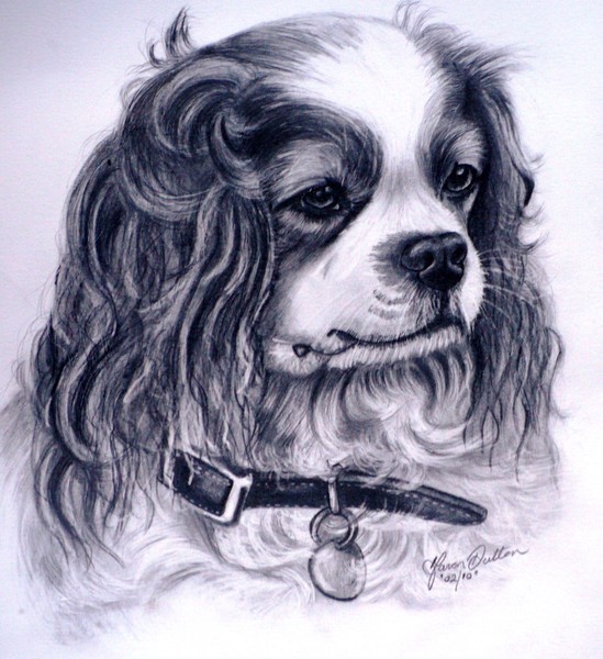 Jerry 10x14 Italian Fabriano Paper