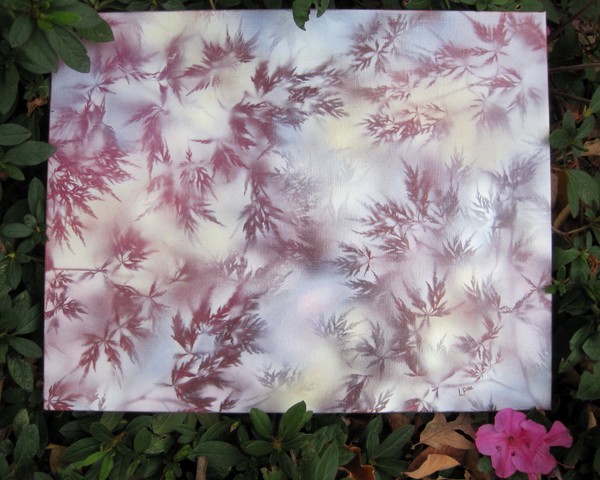 Japanese Maple Canopy
