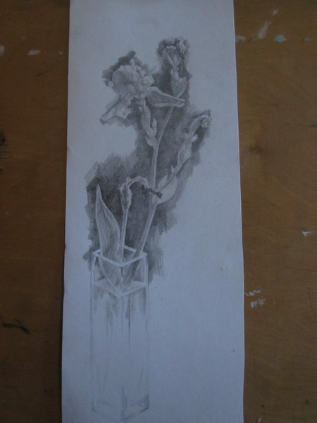 Iris flower