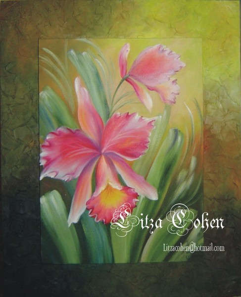 Orchid
