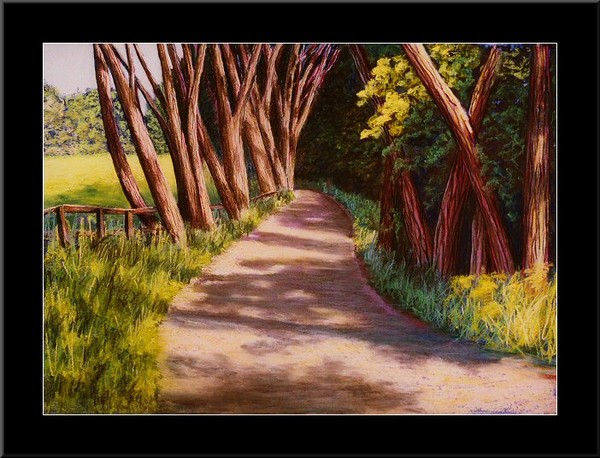 Mineral Springs Road