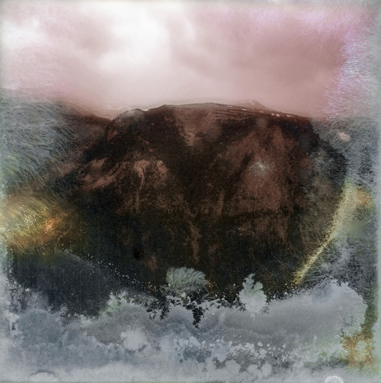 Amalgamated Fragmentation / Microbscape 7