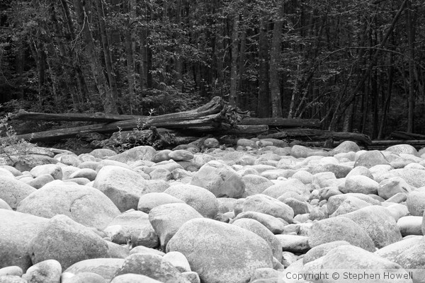 Boulders and Woods