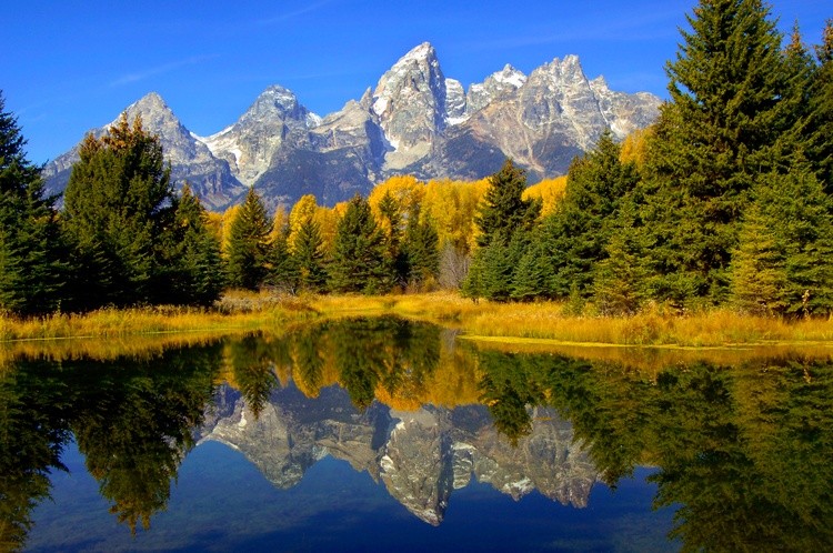Early Morning Schwabacher Landing