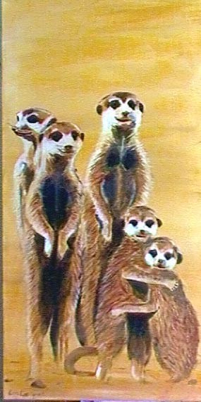 meercat 2
