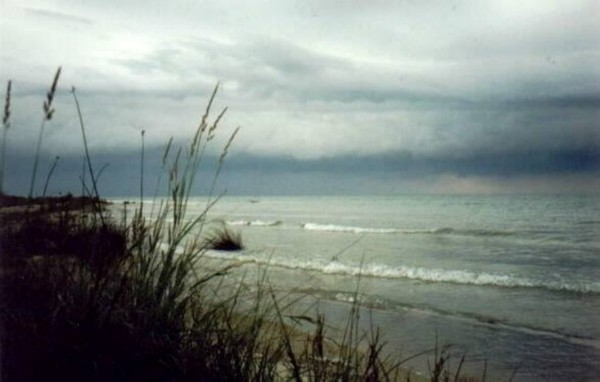Storm Comin