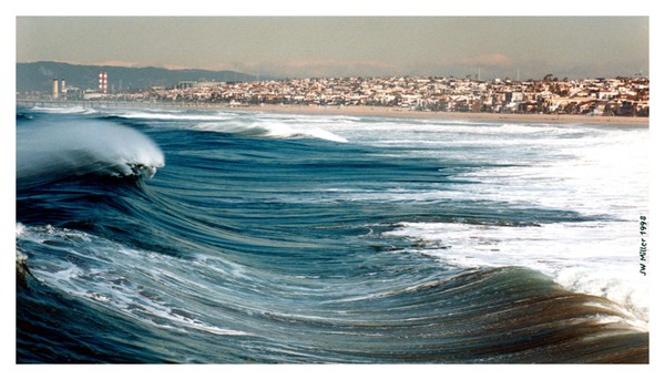 Surf and Turf