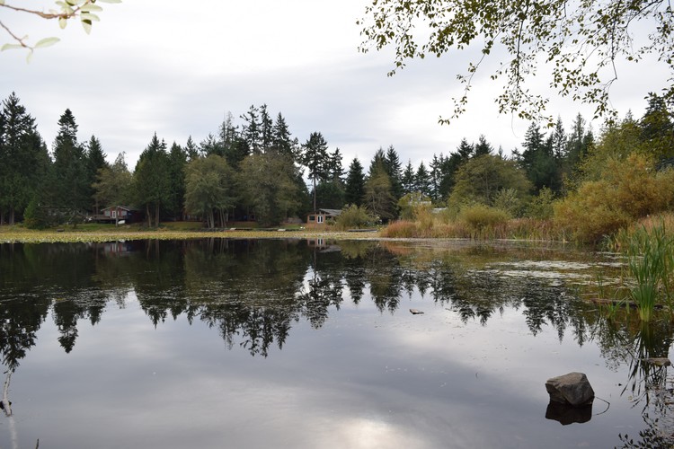 Majic lake
