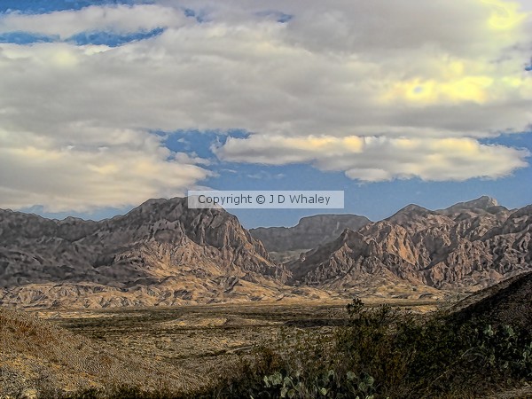 Big Bend, Chisos Basin Texas, U S A 7912