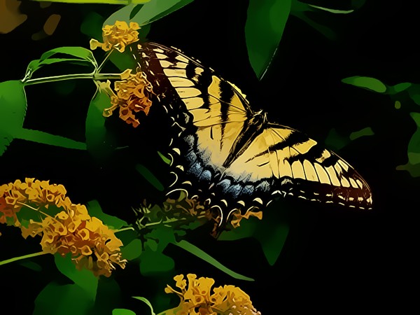 18969 Butterfly