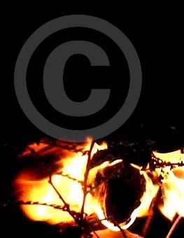 barbie fire