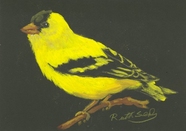 Goldfinch 2