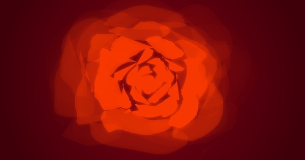 Orange Rose