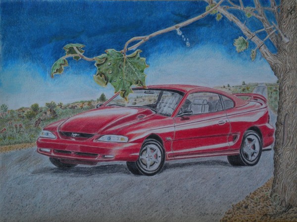 Mustang after the storm