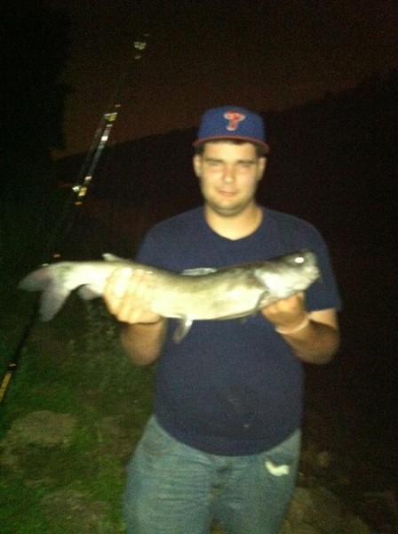Catfish Fever