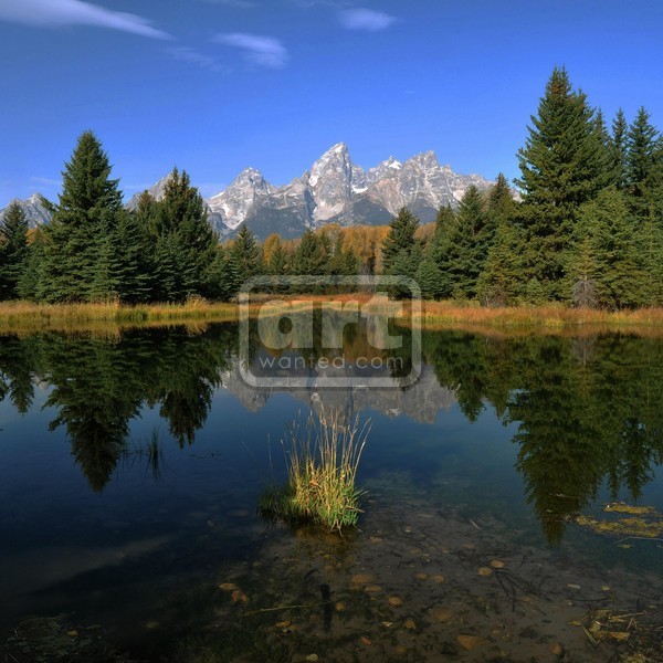 Schwabacher Landing Morning