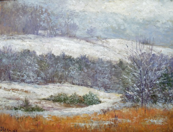 Snow storm in the mountains