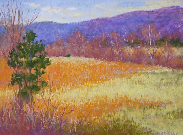 Golden grass