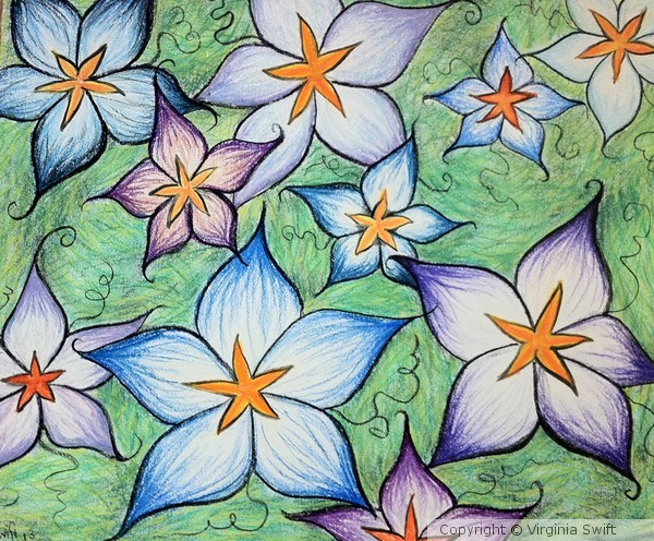 Star Flowers