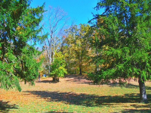Amazing Autumn Dayx