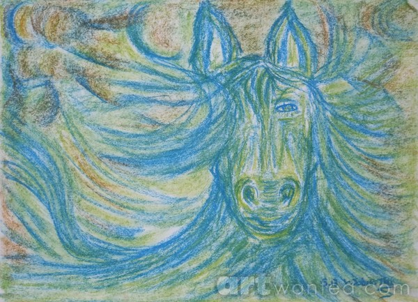 One eyed horse