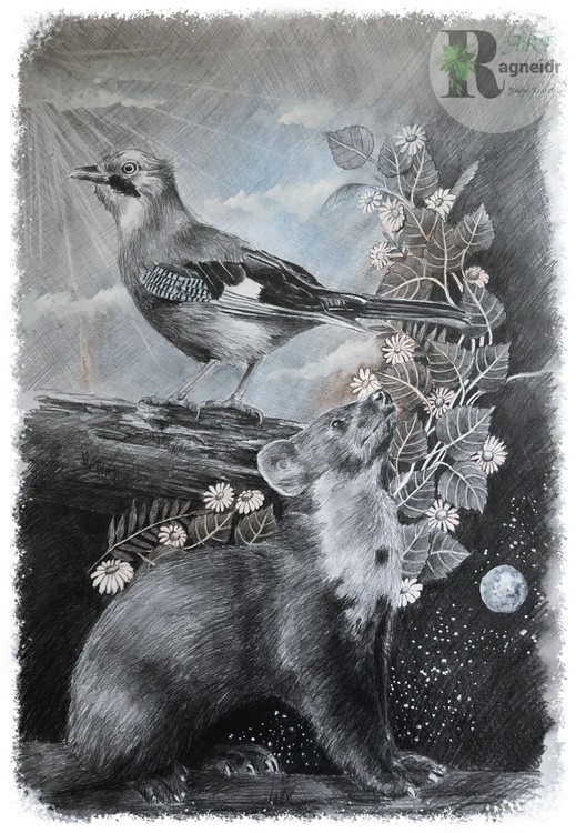 wildlife