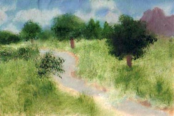 Meadow brook
