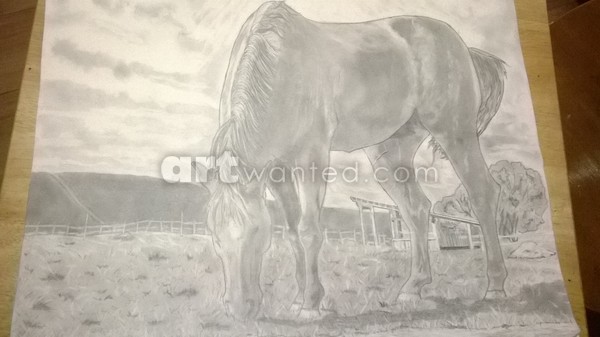 grazing