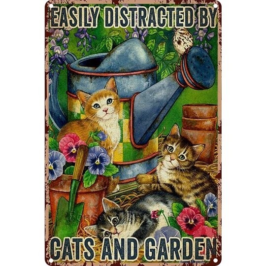 happycats (8)