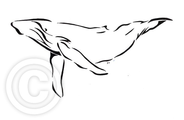 humpback whale stylized 