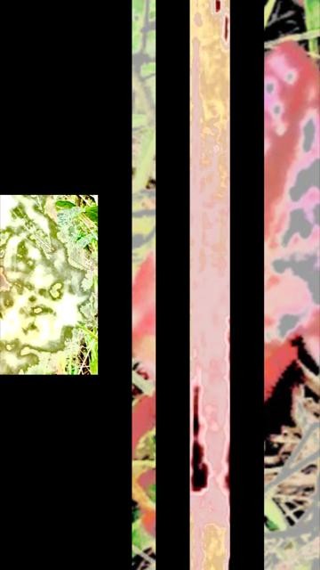 thumbnail-775