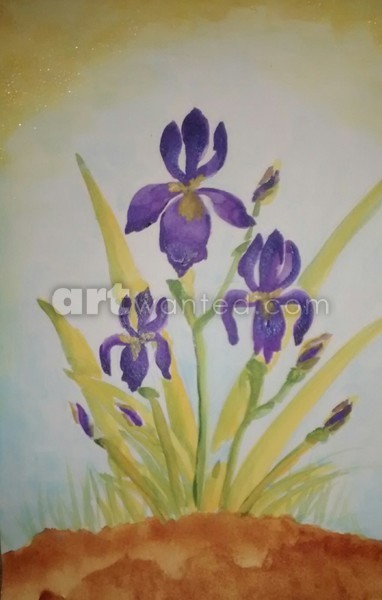 Iris