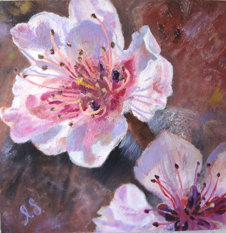 Peach blossom