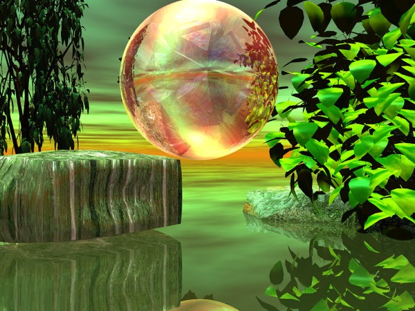 forest rise