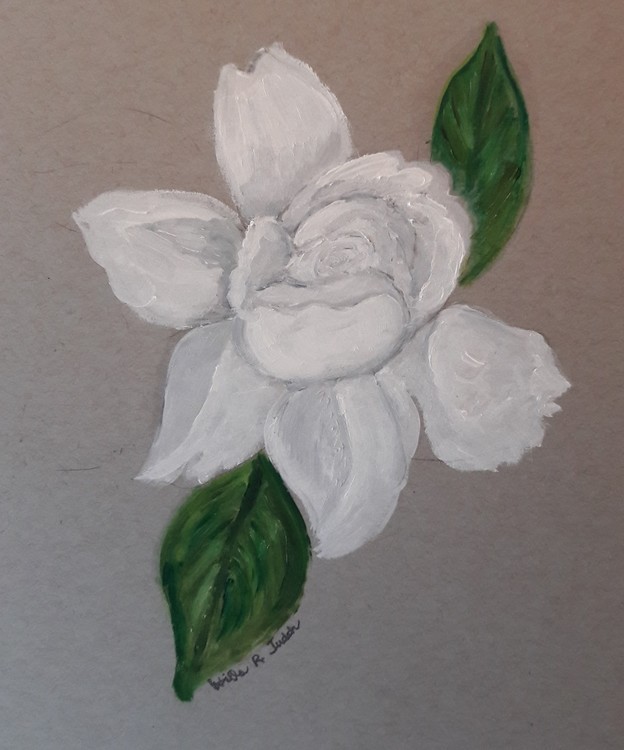 White Gardenia
