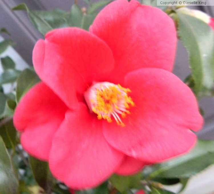 DSCN0259