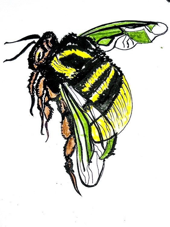 Bee’s Series