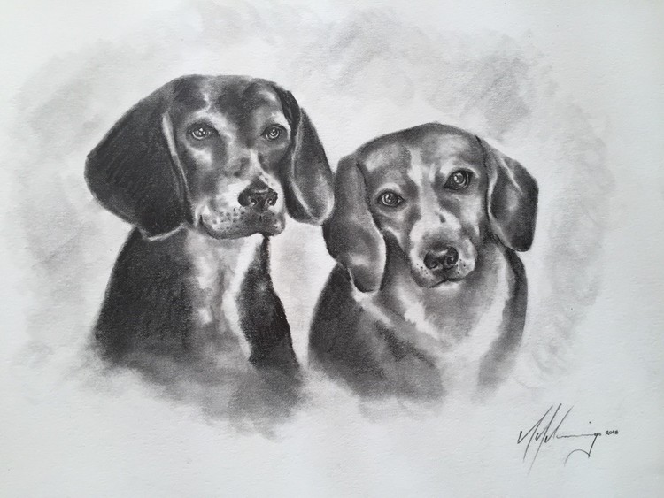 charity auction