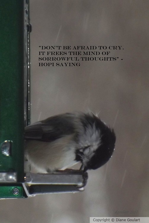 Don't Be Afraid