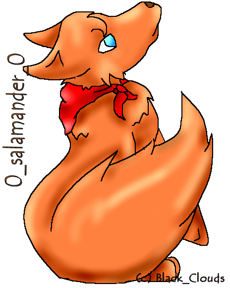 Salamander
