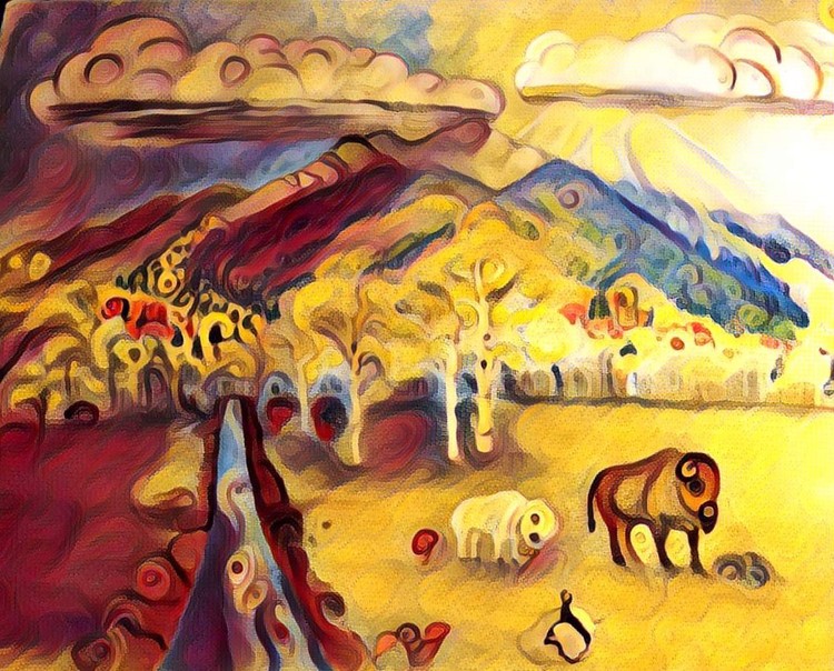 Taos buffaloes 