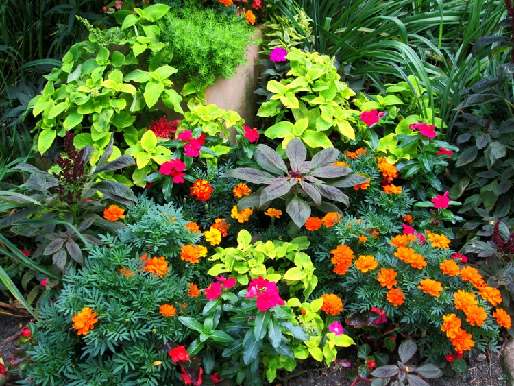 Garden in Lincoln Park