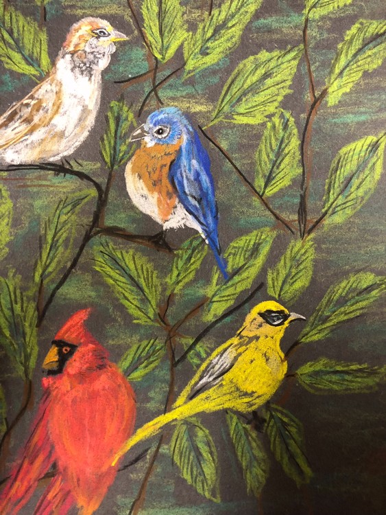 Bird study
