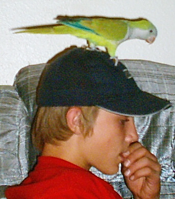 A bird and his boy.