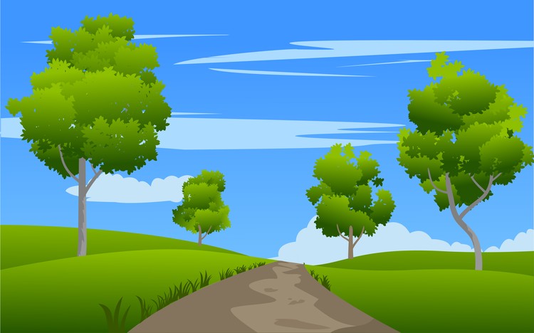 path in green field
