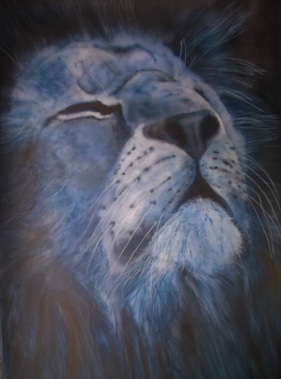 AIRBRUSH variouse (12)
